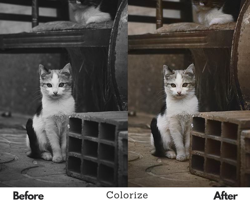 Using ImageColorizer for Digital Art: Tips and Tricks